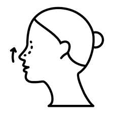 Rhinoplasty / Nosejob icon